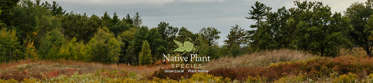 Native Plant Species Header Image