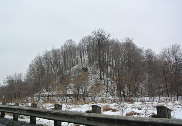 Don Valley Ravine from highway. Closed canopy trees. Note: large oak (dark trunk) with shaded lower limbs shed.