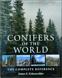 Conifers Of The World