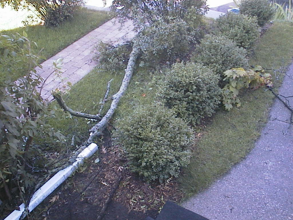 Branch debris and dented downspout disconnection.