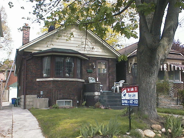 House with norway maple.