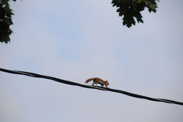 Down the wire!