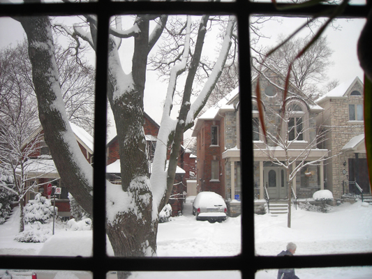 A room with a view…to a tree.