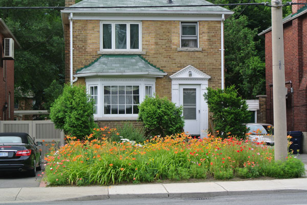 A riot of colour (non-native daylilies and Oriental poppies), all over 20 cm in height, but who would object? Perhaps complaints might come later when the poppies disappear by mid-summer. It might not look as nice later in the growing season without summer-fall replacements.