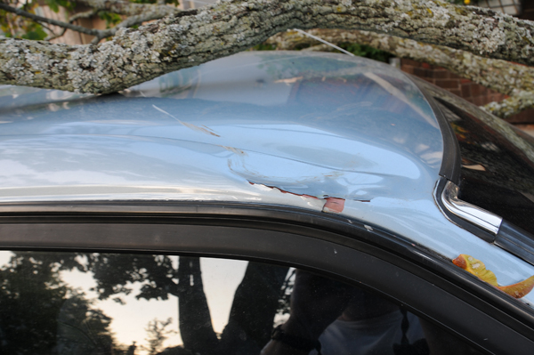 Contact point – roof dent. Note the sneaky Norway maple keys tucked into the roof channel (seed dispersal urban style).