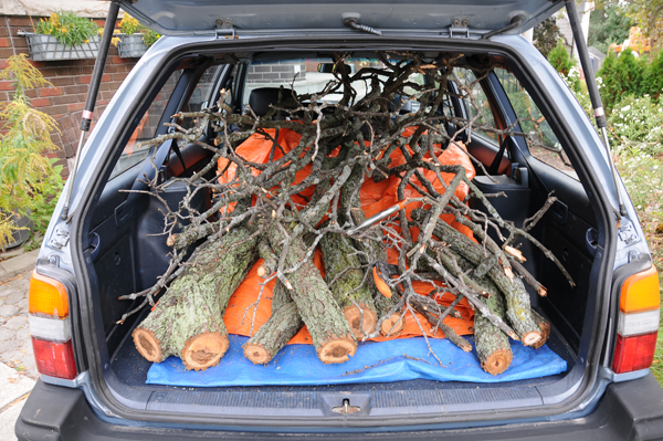 The loot in the boot, custom cut. Off to ZooWoods restoration site.