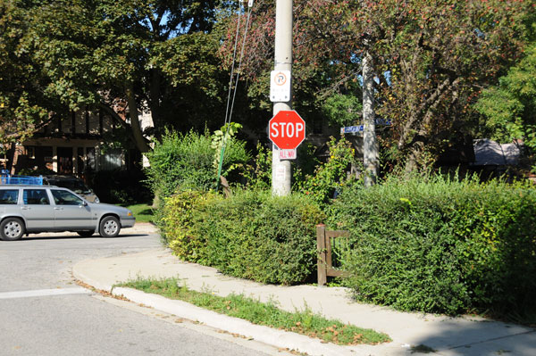 A grass strip doesn’t get anymore neglected than this. Note: the hedges would be in violation of the Fences bylaw (too tall, not see-through, sight line issue).