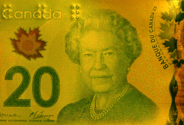 Partial view of $20 Canadian bill showing maple leaves.