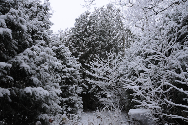 Winter Wonderland.