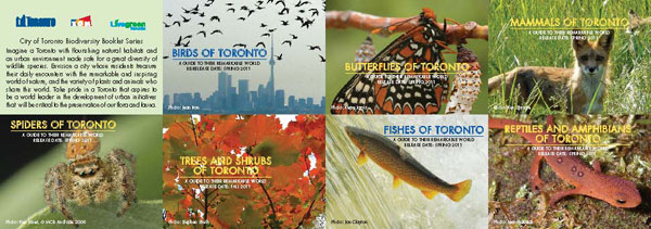 Toronto Biodiversity postcards