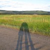 Susan J. Tweit avatar