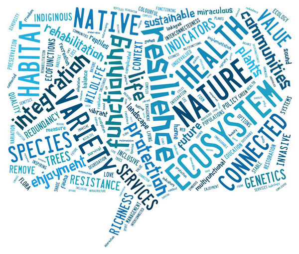 Word mash for the Biodiversity in the City workshop. Source: ICLEI Canada.