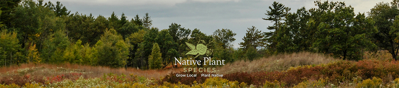 Native Plant Species
